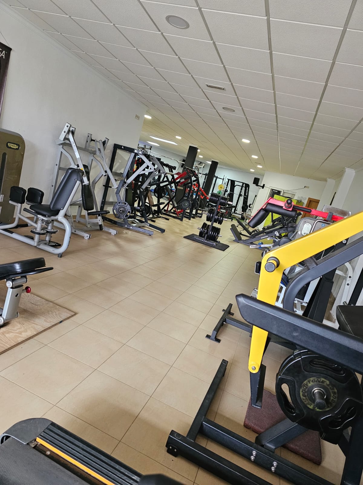 Cómo empezar en el gimnasio si nunca has entrenado